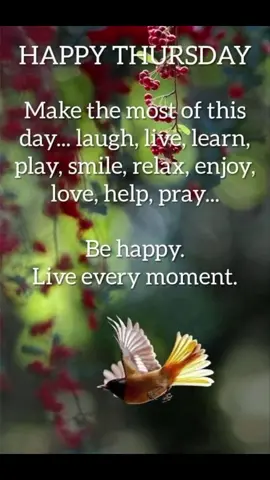 Good morning everyone. Embrace each day with a warm heart and a big smile, because every gift of a new day is truly a big blessing have a blessed Thursday#happythursday #inspire #motivate #encouragement #inspirationalquotes 