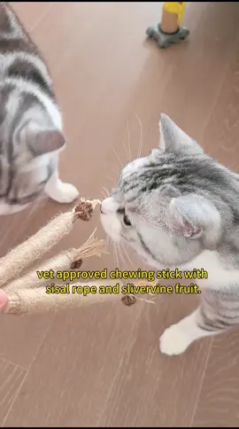 Every cat needs this chew stick!#cattoys #stick #chewtoy #chew #catplaying #catsoftiktok 