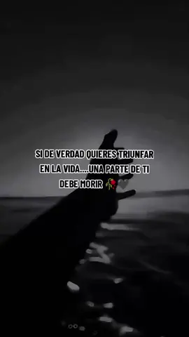 #reflexion #paratiiiiii #fraces 