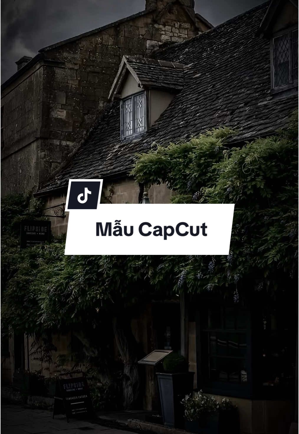 Nhạc Cuốn Quá#CapCut #bachtuong205 #bachtuong #nhachaymoingay 