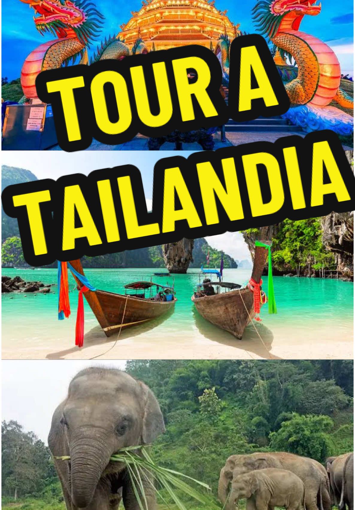🇹🇭 Tailandia inigualable 🤩 Conocerás 10 nuevos amigos en una aventura llena de cultura y diversión 🙌🏼  Solo adultos ‼️  🗓️ 12 - 23 Noviembre  Visitaremos las ciudades de  👉 Bangkok  👉 Chiang Mai 👉 Chiang Rhai  👉 Phuket  ¿Qué incluye? 👀 ✅ Hospedaje con desayuno en acomodo triple   ✅ Tours y entradas a atracciones  ✅ Vuelos nacionales en Tailandia  🚩 No incluye vuelo internacional, ese te ayudamos a cotizarlo por separado, opciones de escala pasando por Estados Unidos, o por Japón   ¿Cuánto? 🤑 Inversión $19,500  Separa con $3,000  🌟 Ve abonando a tu ritmo y pagas la mitad del restante 30 días antes y los últimos 15 días liquidas tu viaje.  Limitado a 10 lugares 😱 Reserva ya ✈️