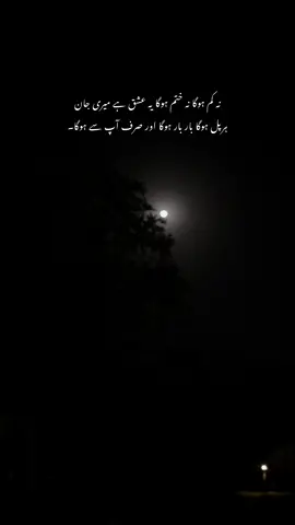 Ishq just you will c❤️‍🩹🥺…#foryou #lines #foryoupage #repost #urdupoetry #fy 