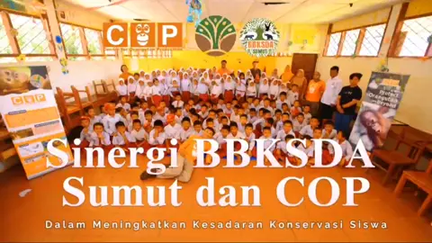 Halo Sobat Konservasi 🙋 🙋  Balai Besar Konservasi Sumber Daya Alam (BBKSDA) Sumatera Utara melalui Seksi Konservasi Wilayah (SKW) V Sipirok bekerja sama dengan Centre for Orangutan Protection (COP) melaksanakan edukasi konservasi di beberapa sekolah di sekitar kawasan Ekosistem Batang Toru di Kabupaten Tapanuli Selatan, pada tanggal 6 & 8 Mei 2025. Kegiatan dilakukan di empat sekolah, yakni SMK Negeri 1 Sipirok, MTs Negeri 1 Sipirok, SD  Negeri 100403 Arse dan SD Negeri 100410 Arse.  Didampingi oleh Bapak Parta Basmely selaku Kepala Resort CA Dolok Sibual-buali dan Bapak Martono Gurusinga selaku Kepala Resort CA Dolok Sipirok hadir pada edukasi kali ini dan memberikan perkenalan singkat tentang kawasan konservasi kepada siswa. Sebagaimana kegiatn-kegiatan edeukasi lainnya, kegiatan ini juga berfokus pada tujuan memperkenalkan kepada siswa tentang keberadaan satwa liar yang dilindungi serta peran BBKSDA Sumatera Utara dan COP dalam upaya konservasi satwa liar, khususnya orangutan. Siswa juga diberikan pemahaman tentang bagaimana sikap yang harusnya dilakukan jika bertemu dengan satwa liar di alam.  Edukasi dikemas dengan sangat, diawali dengan ice breaking, dilanjutkan dengan pemaparan materi melalui presentasi dan diakhiri dengan permainan edukatif yang interaktif. #EdukasiKonservasi   #LindungiOrangutan   #AnakCintaLingkungan   #KonservasiUntukMasaDepan   #GenerasiHijau   #SaveTheForest  #COP  #CA_DolokSibual -buali #CA_DolokSipirok  #SKW_V_Sipirok  #bbksdasumut  #ksdae_hebat  #kemenhut 