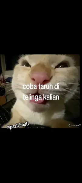 #lewatbrandafypツ #meme ##fypシ゚ #lucu #masukbrandafypmemelucu 