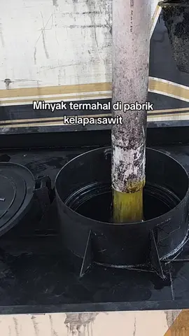 ada yang tau minyak apa ini? #pabriksawit #sortasi #kocak #fyp 