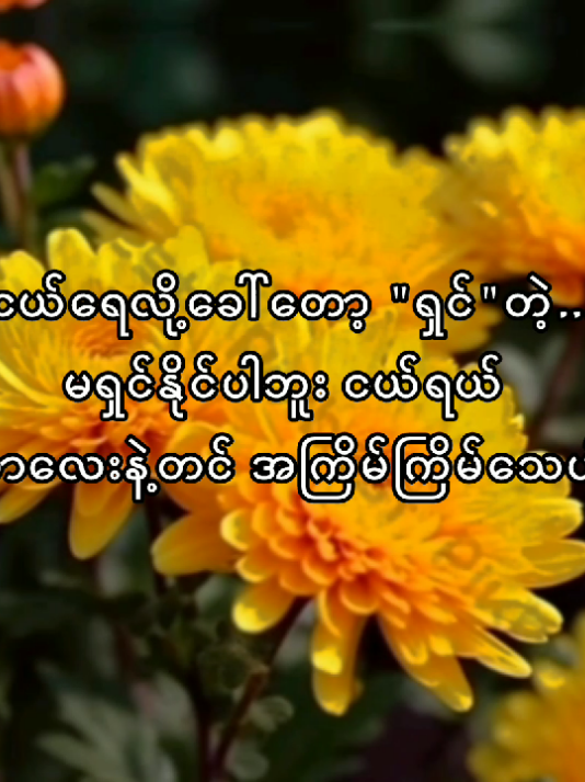 နှုတ်ခမ်းပါးလေးက ထူးတာ သပ့လားတဲ့ 🤧 #ငယ့်အတွက်စာတို  #စာတို  #soul  #yethwinoo  #fyp  #fypmyanmar  #foryoupage  #tiktok 