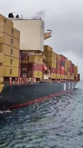 #container #containership #lifeatsea #safety #sea #cmacgm #msc #evergreen #marinelife #SEAMAN 