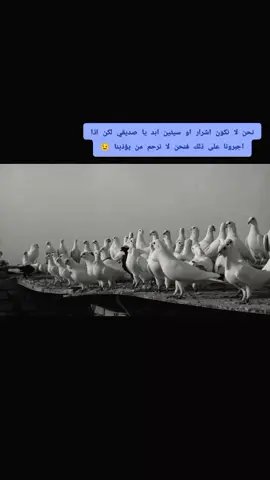 #ارافل_العراق #الحله_بغداد_ناصريه_بصره_احبكم 