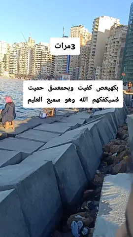 بكهيعص كفيت وبحمعسق حميت فسيكفكهم الله وهو سميع العليم #قرآن #قران_كريم #قران #دعاء #ياالله #اللهم #ترند #ترندات_تيك_توك #ترند_تيك_توك 