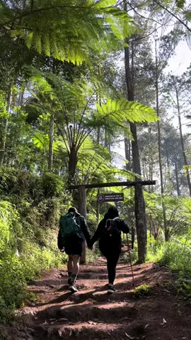 Mountain date🏔️🍃 #mountaindate #pasangancouple #foryou #fyp 