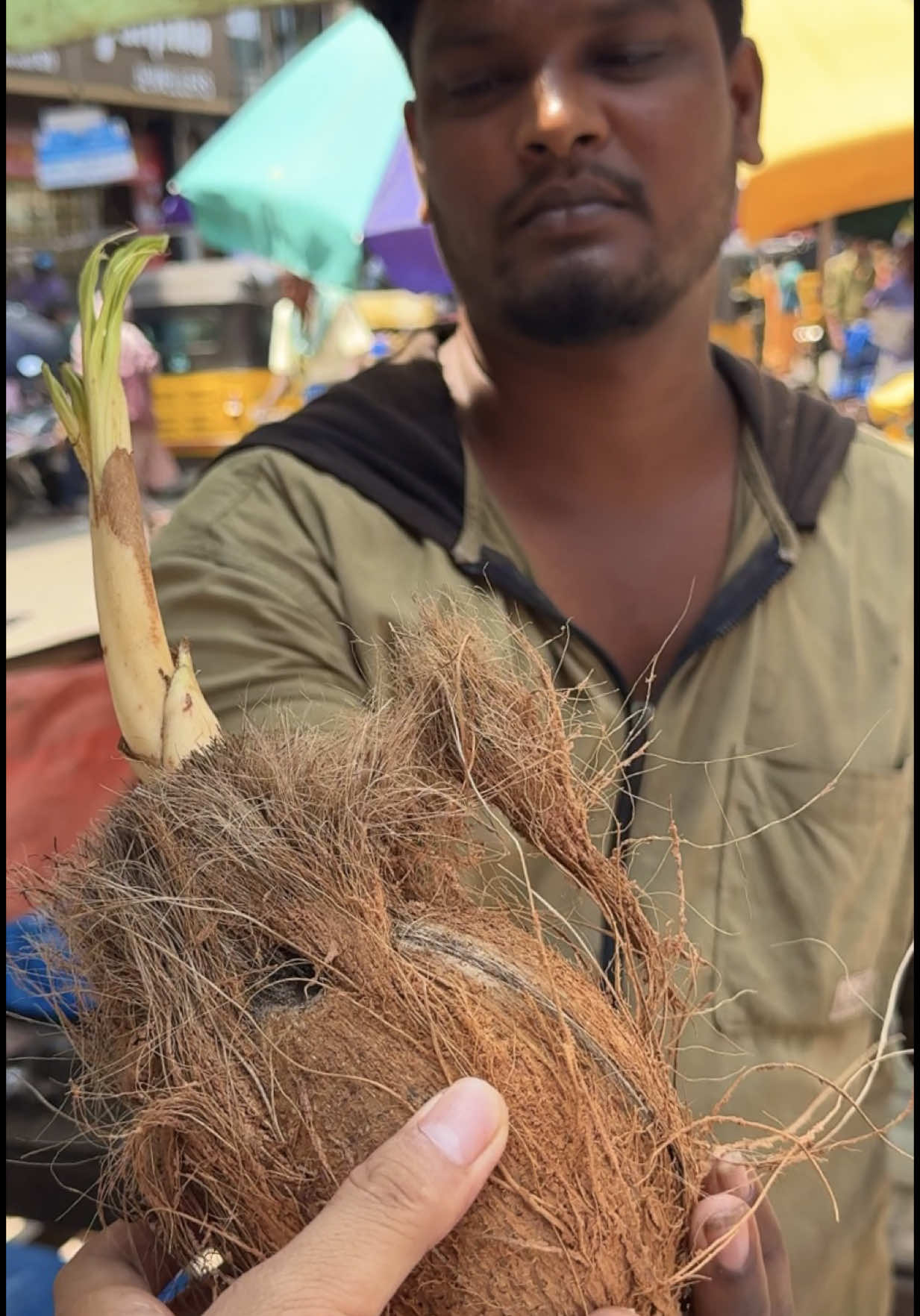 Amazing Edible Coconut Seed In India - Fruit Cutting Skills 🔍 Business name  Coconut Seed  📍Address Chennai, India 💵 Price  100 Rupee/$ 1.15 USD