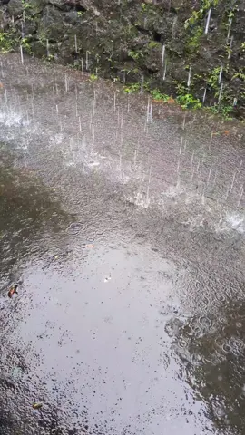 hujan deras di atap seng di sore hari
