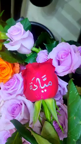 #ميادة#اكسبلور #مصر_السعودية #الحبايب #حروف_الحب 