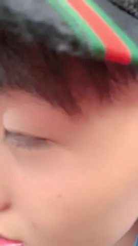 Rắn