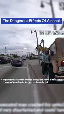 The Dangerous Effects Of Alcohol #cops #copsoftiktok 