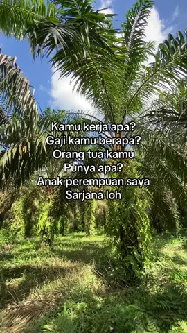 saya cuma punya iman dan nyawa omm,itu pun titipan😔 #fyp #sawit #storysawit #sawitontiktok #kulisawit 