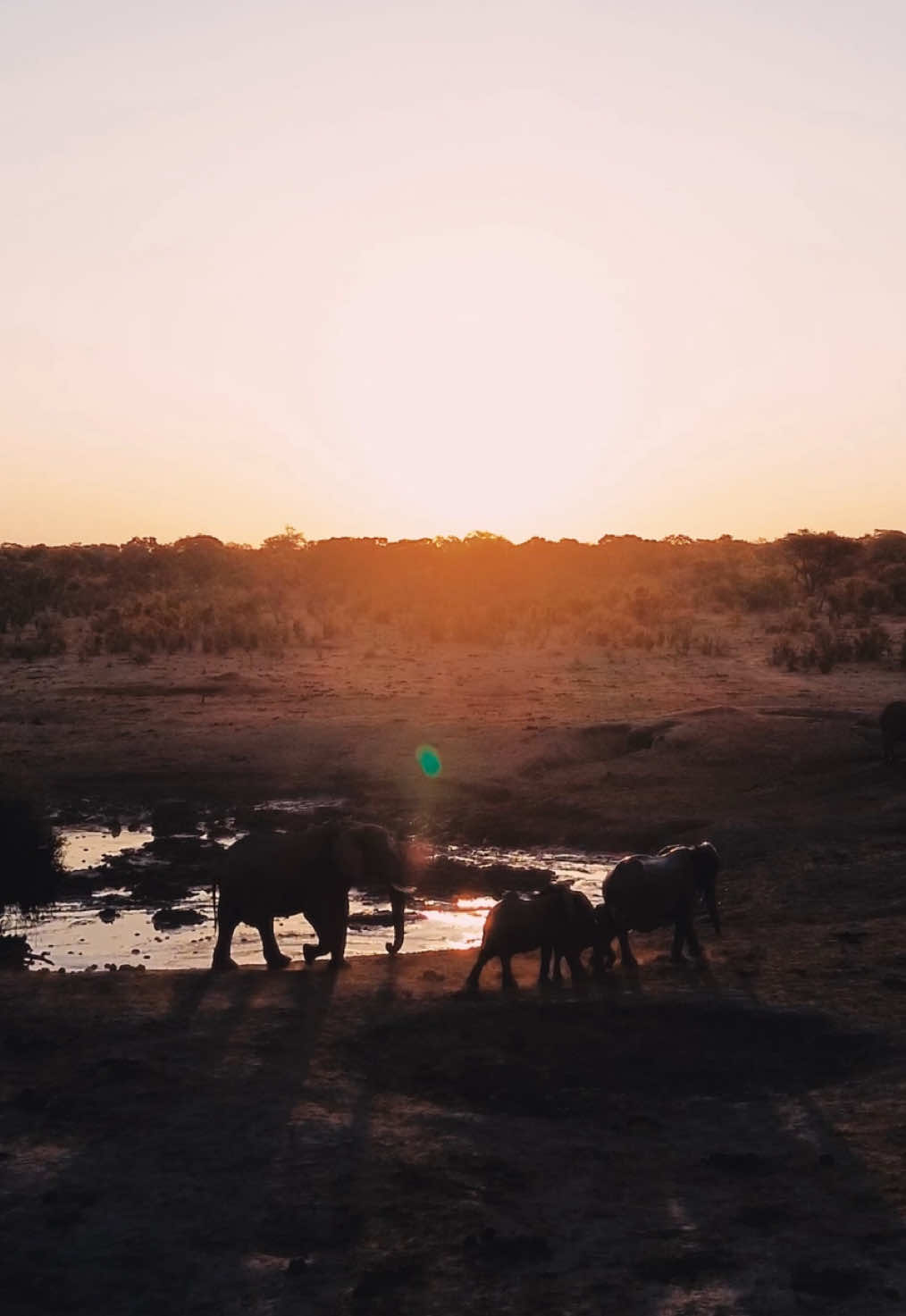 Celebrate Africa Day at Antelope Park! 🤩   Join us on 25th May as we honor the rich heritage, unity, and vibrant spirit of Africa!  Experience the magic of Africa Day with a feast of authentic local cuisine, the soul-stirring sounds of live marimba bands, and a joyous celebration of culture at Antelope Park 🕺💃🍲 Dress Code: Traditional African attire, come dressed in your cultural best and show your pride! Price: $25 Africa Day marks the founding of the Organization of African Unity in 1963, a powerful symbol of unity, liberation, and progress across the continent. It’s a day to celebrate what it means to be African and to share that pride with the world! #antelopepark #gweru #antelopeparkzimbabwe #zimbabwe #hararezimbabwe🇿🇼 #zimbabwetiktok🇿🇼🇿🇼🇿🇼🇿🇼 #africaday #africaday2025 #thisisafrica #africantiktok 