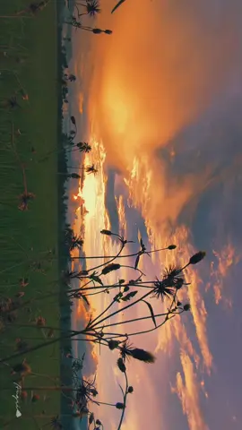 📷xiaomi 13T sunset selalu datang dengan kondisi yang tak pernah sama, tapi dia tak pernah ingkar. #timelapse #sunsetvibes #sunsetlover #xiaomi13t #shotonxiaomi xiaomi