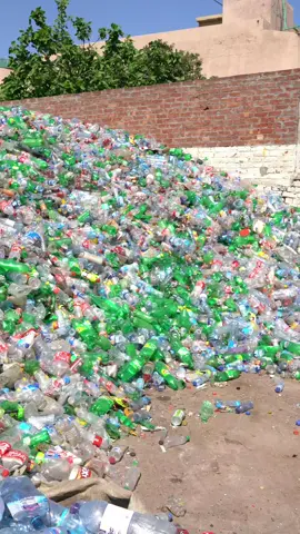 Crushing Plastic Bottles for Recycling | Eco-Friendly Waste Management #Recycling #PlasticPollution #WasteManagement #Sustainability #EcoFriendly #ReduceReuseRecycle #PlasticRecycling #Environment #CleanPlanet #GreenLiving 
