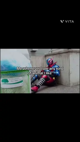 Gotta show them to my hb#k#kamenrider#kamenriderbuild#build#animals#jokes#simple#real#fyp#edit