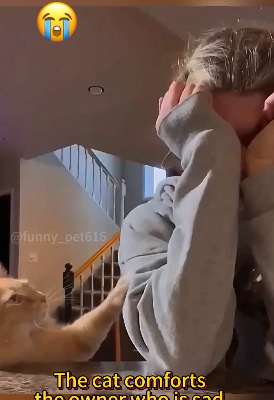 The last scene killed me.😭The heatwarming scene that only cat lovers understand #pet #cat #catlover #fyp #funny #healing #kittensoftiktok 