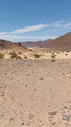 #سبها_ليبيا_الجنوب_الليبي #سبها_ليبيا_الجنوب_الليبي #الخليج_العربي_اردن_عمان_مصر_تونس_المغرب #الخليج_العربي_اردن_عمان_مصر_تونس_المغرب #الخليج_العربي_اردن_عمان_مصر_تونس_المغرب 