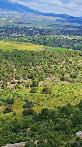 #سكرة_سيدي_مرشد #سيدي_مرشد #سليانة🇹🇳 #سليانة #siliana 
