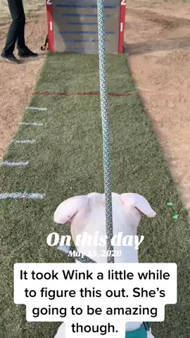 #onthisday 