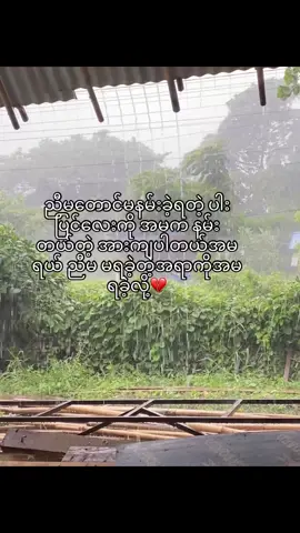 သူကိုဂရုစိုက်ပေးနော် အမရေးး#fypシ #fypシ゚ #fypシ゚vira #myanmartiktok 
