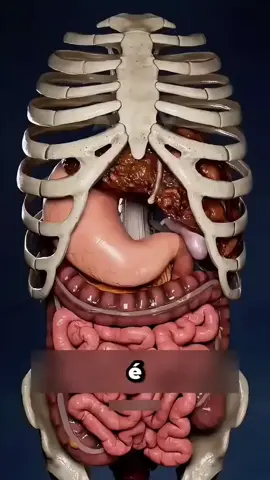 Isso e o que acontece quando voce bebe uma lata de enegetico #energetico #saude curta compartilhe me add
