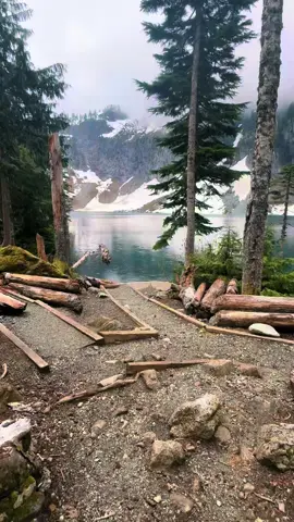 Witnessing the raw beauty of the Pacific Northwest 🌲 #alpinelake #pnwwonderland #Hiking #pnw #forest #washington 