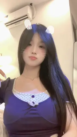 🐰
