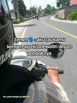 sehat