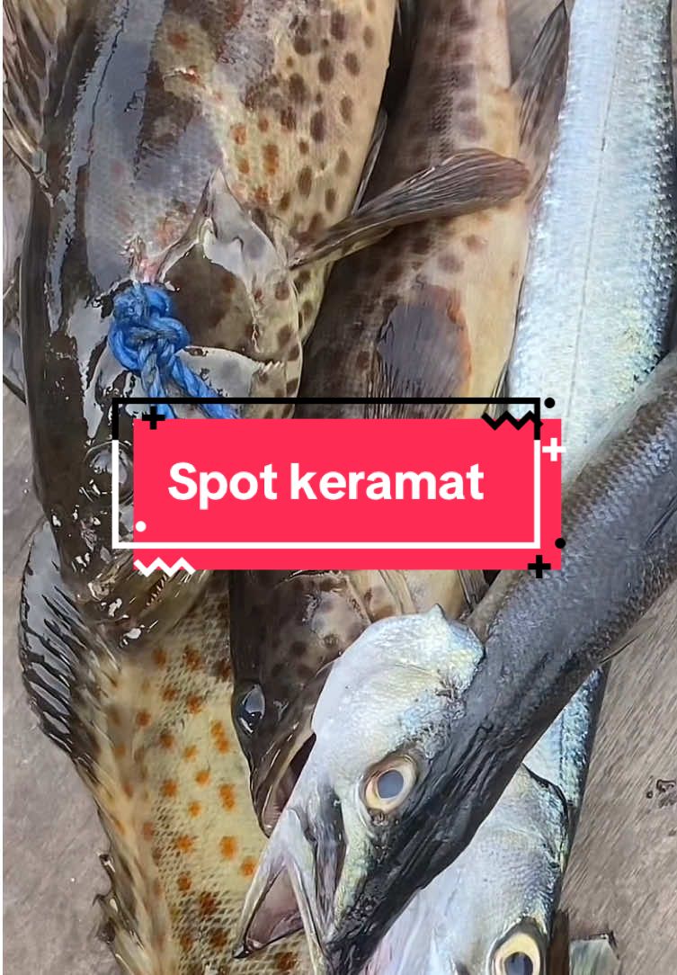 Full strike🔥🔥🔥 #mancing #poj #semarang #CapCut @PannAnakBaik 