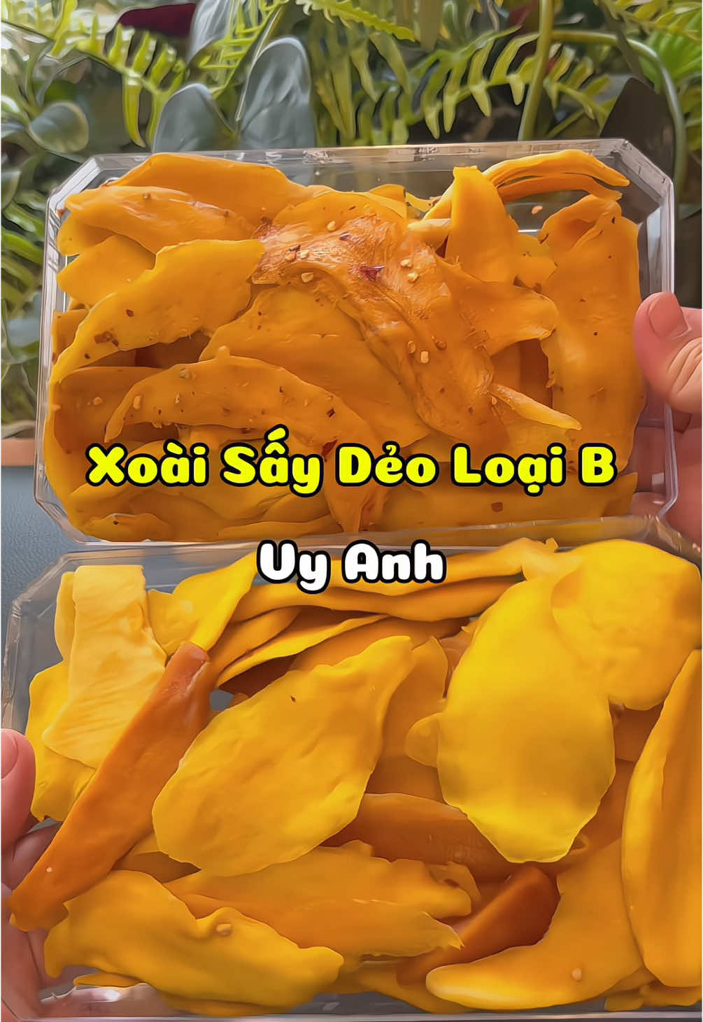 Chọn xoài sấy dẻo loại B là quyết định khôn ngoan của dân ghiền ăn vặt mà biết tiết kiệm! #minhlaanh0410 #xuhuong #review #foodreview #xoaisaydeo #xoaisaymuoiot #vyanhmientrunganlaghien #vyanhmientrung #xoaisaydeoloaib 
