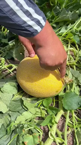 OMG 1 minute 😱 !! #asmr #fruit #fruits