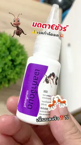 #เจลกำจัดมด #รีวิวเจลกำจัดมด #ยาฆ่ามด #น้ำยากำจัดมด #ยากำจัดมด #น้ำหวานกำจัดมด #antiant 
