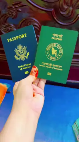 Habibi come to America🇺🇲#sylhety_furi #bangladesh #viralbdtiktok #foryou #viral 