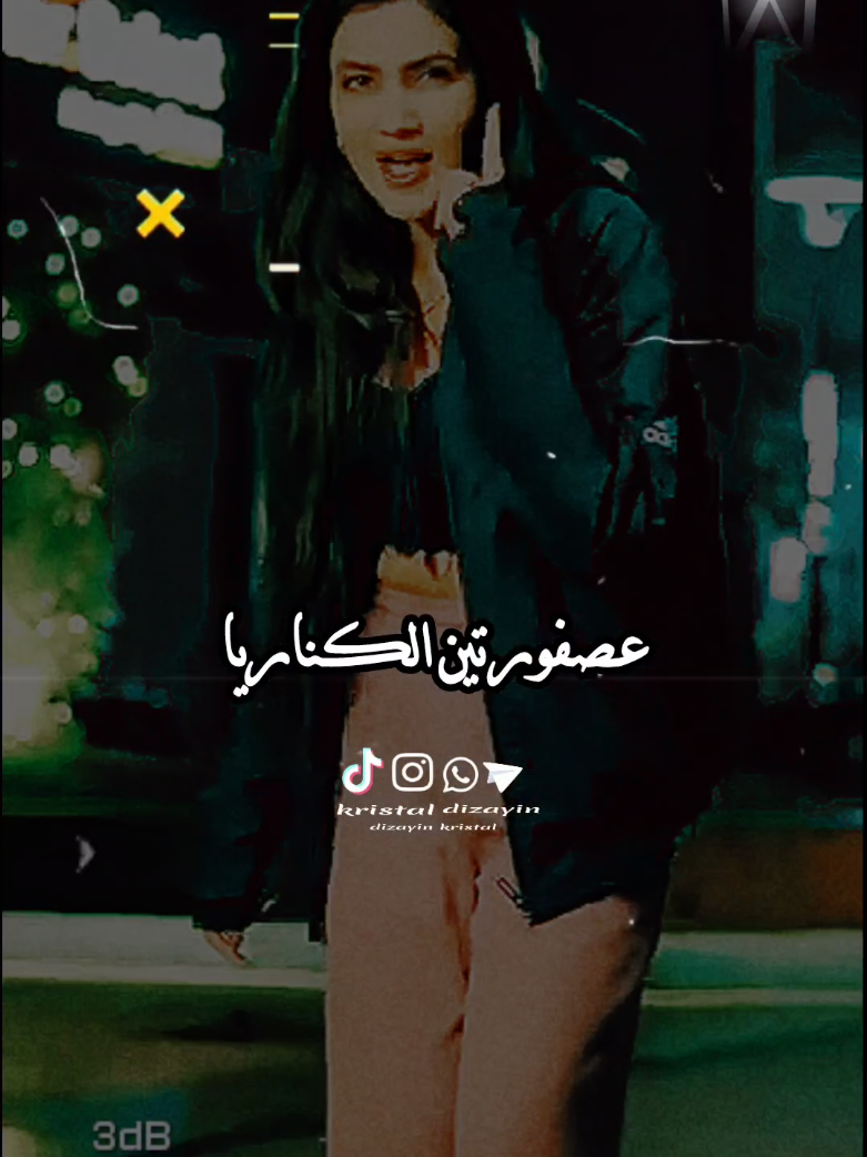 عصفورتين الكناربا ❤️ #كرستال💎👑 #🎶✨Mona_krestal #تصميم_فيديوهات🎶🎤🎬 