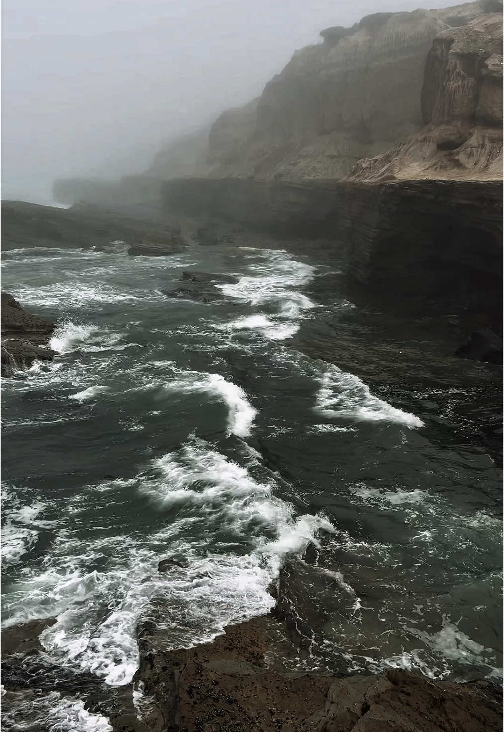 Point Loma Ecological Reserve, San Diego, California #Hiking #pacificocean #pacificcoast #hiddengems #california #californiaadventure #fog #CapCut 