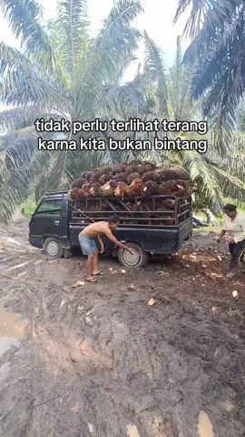 bukan bintang @Andii Saputra @bulukiman @Cuya Ginting @dieselbapak20 @pratama @nadisyaputra00 @ini_brony @dogolreal575 #kurirsawit #sopirmuda #kulisawit🌴 #stylejambi 