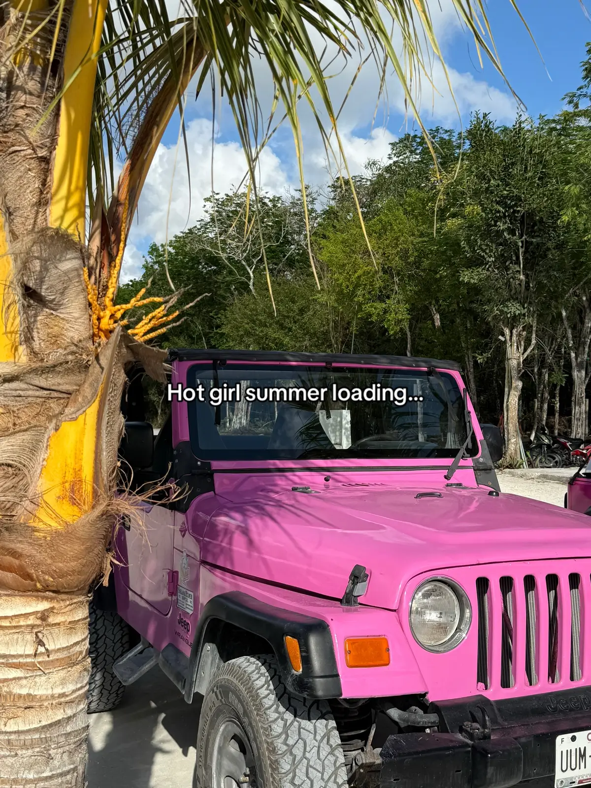 A summer that looks like this 💄🌴🥥💕 #grandecosmetics #grandelash #summervibes #lashtok 