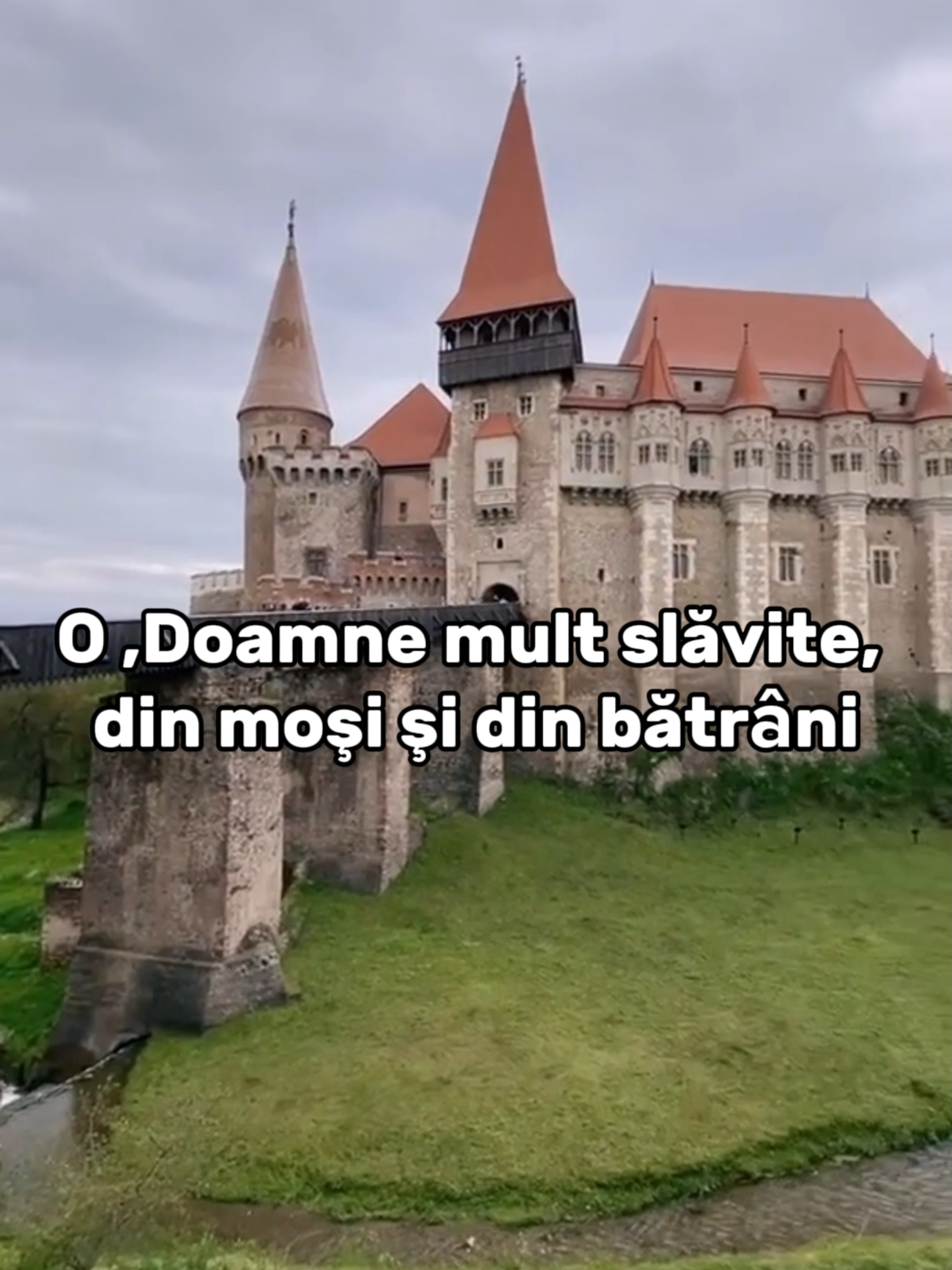 Inima românului - Daniel Avram #romania#patriot#decebal #fyp