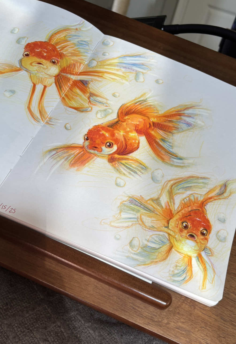 Spent the morning finishing up this sketchbook spread. I love their confused little faces 🤭  #sketchpractice #artstudy #sketch #sketchbook #sketchbookart #drawing #fishdrawing #sketchbookpage #sketchbookspread 
