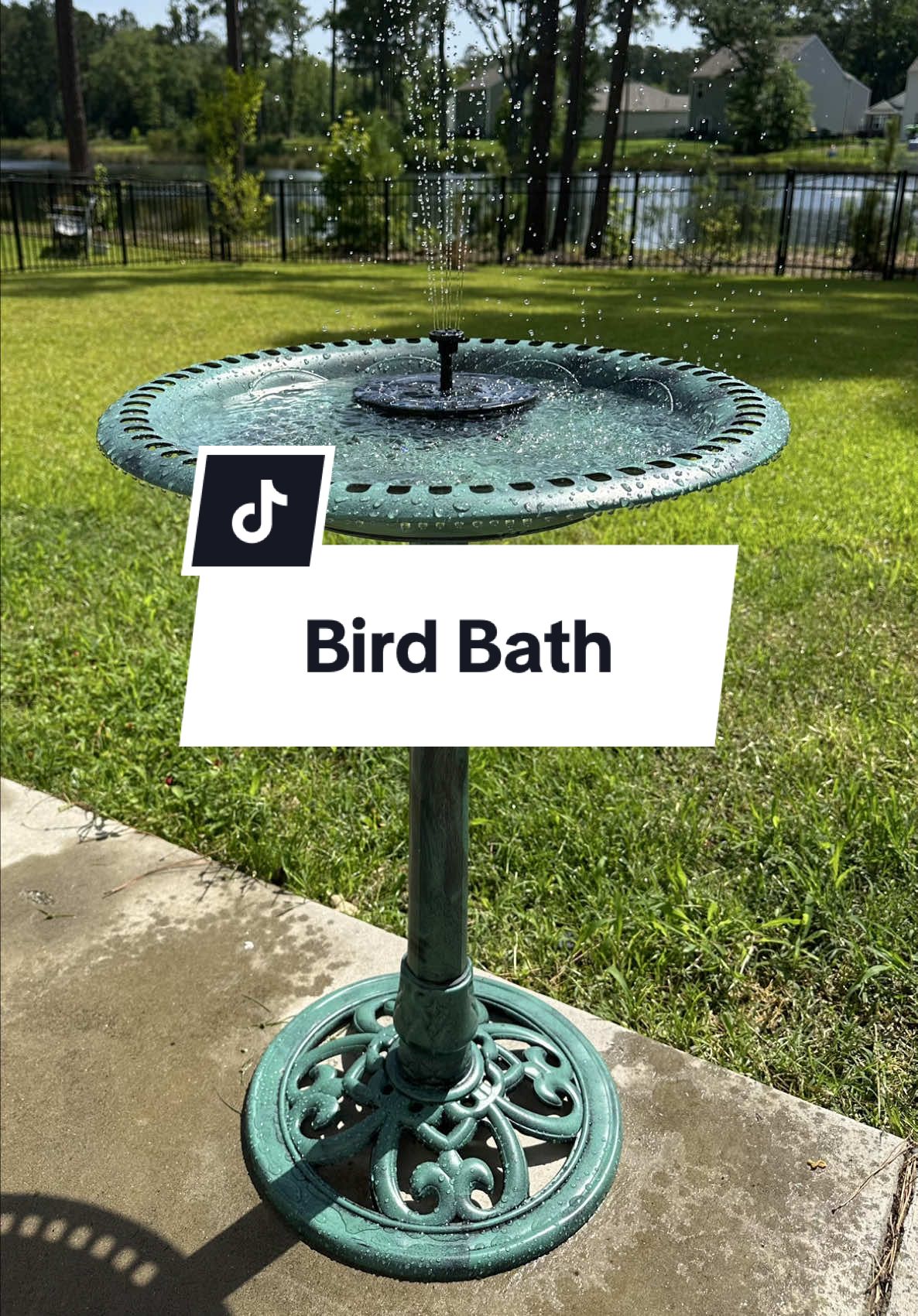 I guess I’ve officially entered my bird era 🐦🌞 This solar-powered fountain turned my yard into a bird spa and I’m not mad about it. My little backyard sanctuary! #birdtok #birdbath #birdlover #birdwatching #backyardvibes 