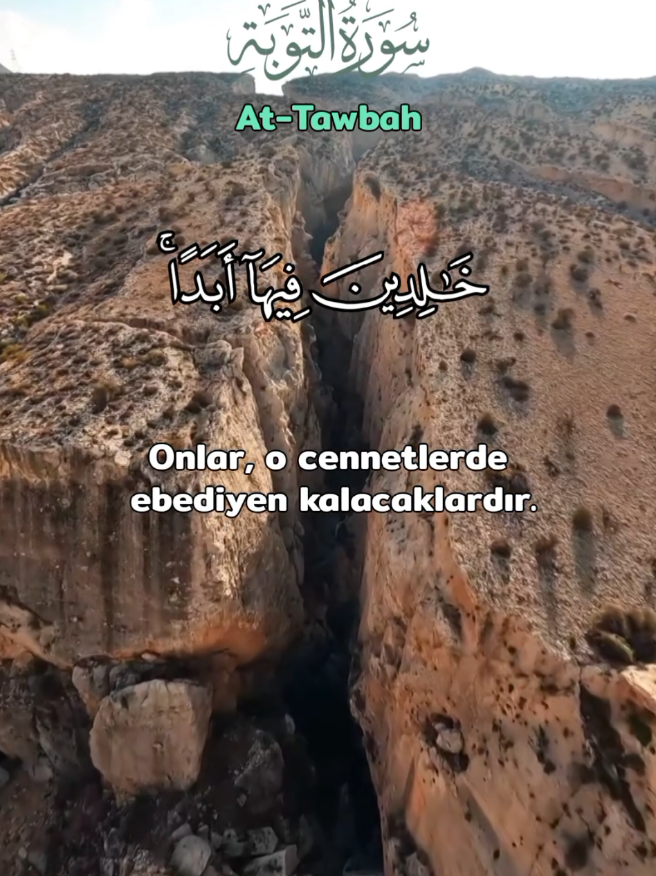 surah tawbah #قران_كريم #quran #عبدالباسط_عبدالصمد 