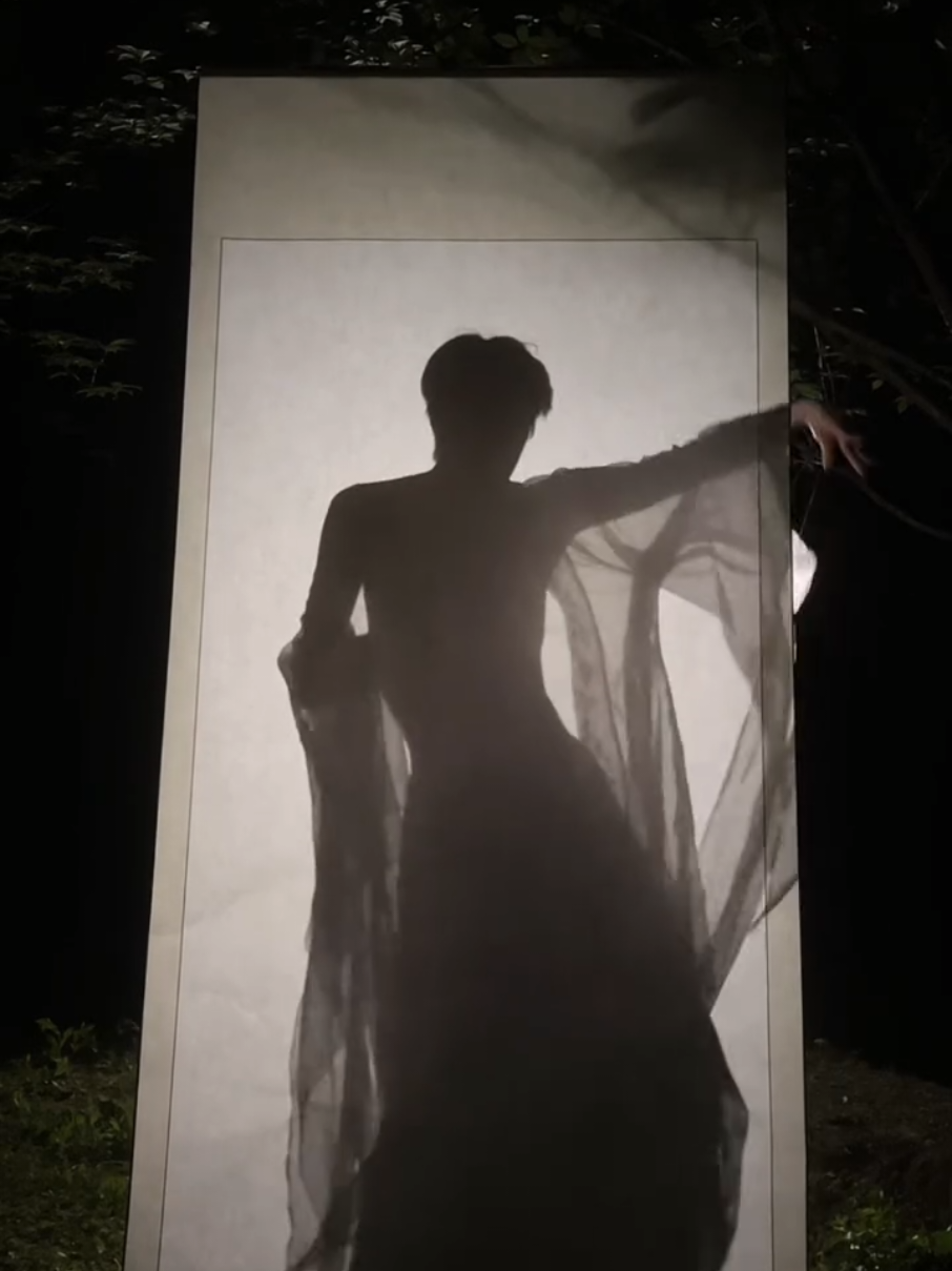pt. 9 || Chinese shadow storytelling 🇨🇳 || #shadowdance #dance #traditional #classic #chineseman #fyp #viral #xyzabc 