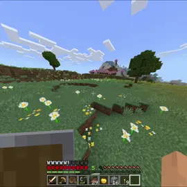 esse vai cair☝🏼KKKKKKKK @ivysx0  #Minecraft #humor #mine #fyp #minecraftmemes