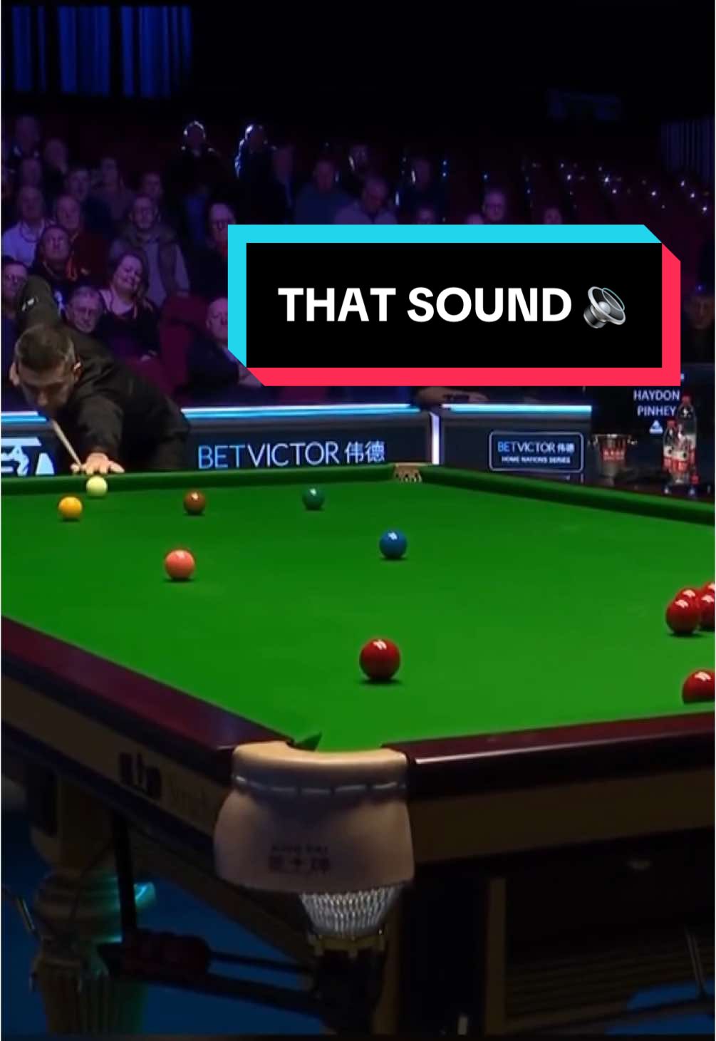 Not many better sounds in snooker than this! #snooker #fyp #foryou #cuesports #markselby