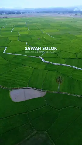 Sawah solok salah satu wisata  ikonik dikota solok 👍 Pilot drone  @ricko.r_photography Suport @salingka_solok. 👇👇👇 KAMI TIM @salingka_solok MELAYANI PAKET WISATA PERJALANAN SOLOK LIMA DANAU & SUMBAR WA 👉 082311523660 DOKUMENTASI VIDEO & FOTO LIBURAN ,TOUR GUIDE WISATA SOLOK LIMA DANAU 082311523660 ) #salingka_solok #salingkasolok #fyp #kotasolok 